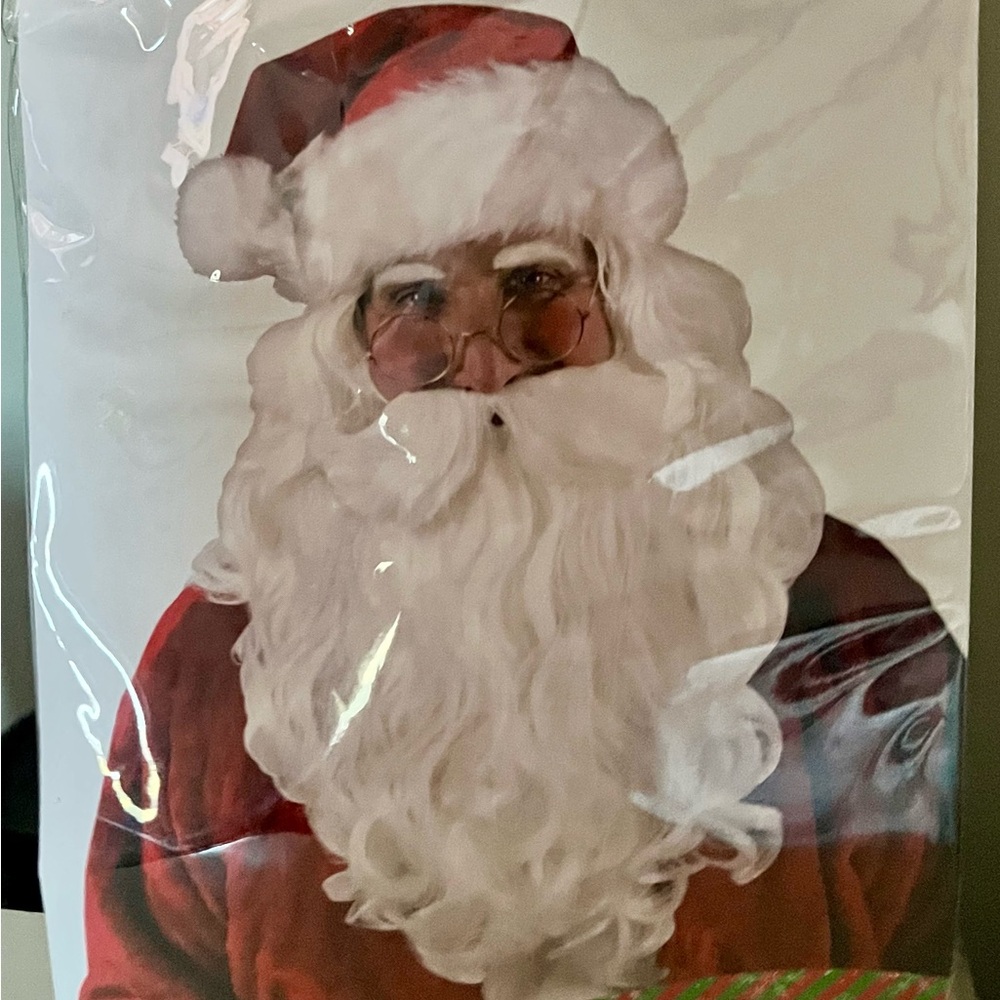 Santa Claus Wig and Beard Brand New